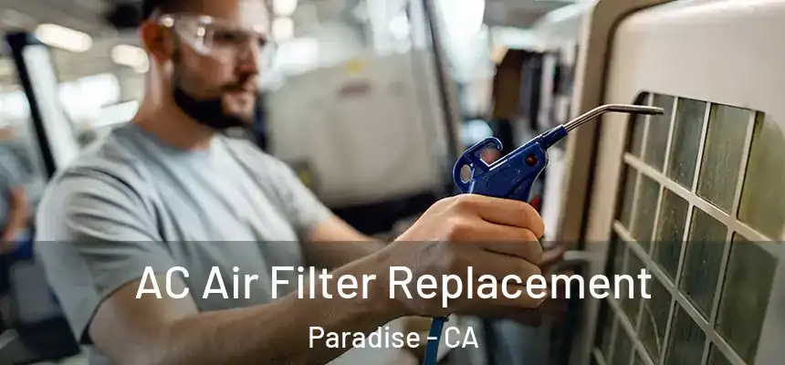  AC Air Filter Replacement Paradise - CA