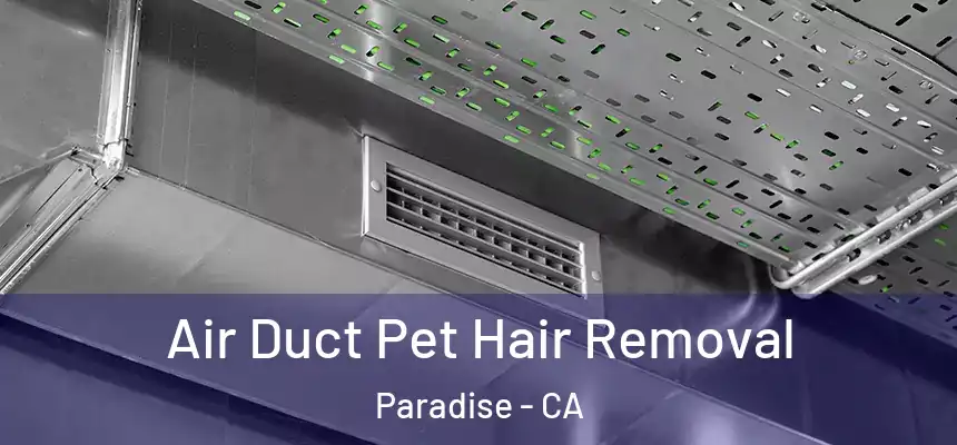  Air Duct Pet Hair Removal Paradise - CA