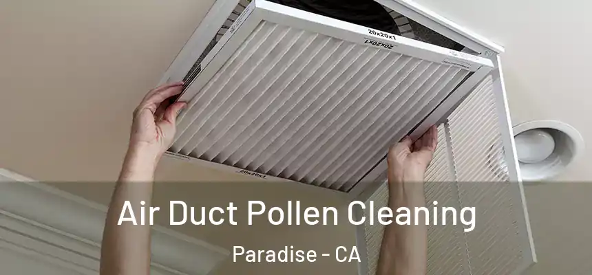 Air Duct Pollen Cleaning Paradise - CA