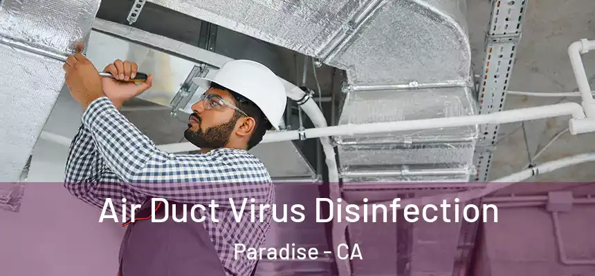  Air Duct Virus Disinfection Paradise - CA