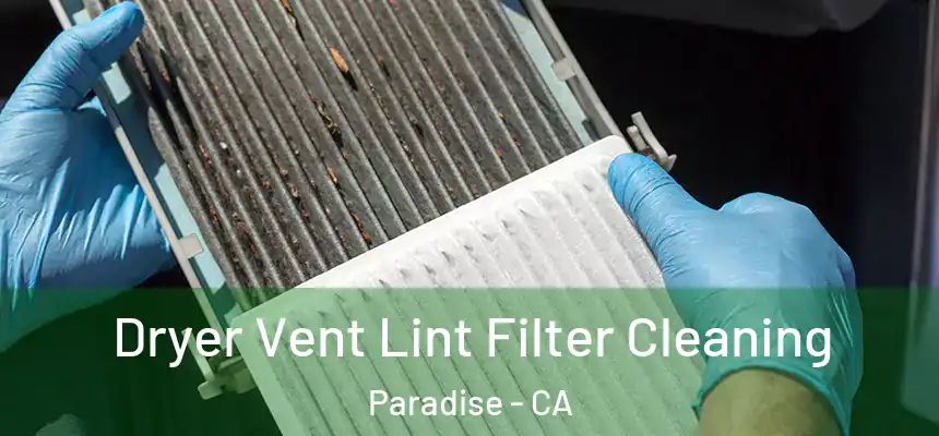  Dryer Vent Lint Filter Cleaning Paradise - CA