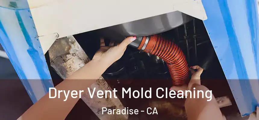  Dryer Vent Mold Cleaning Paradise - CA