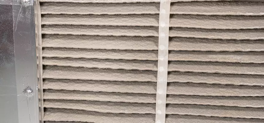 Mobile Car AC Filter Replacement in Paradise