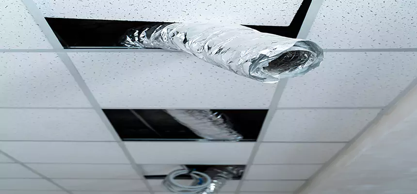 Affordable HVAC Sanitizing After Pest Removal in Paradise