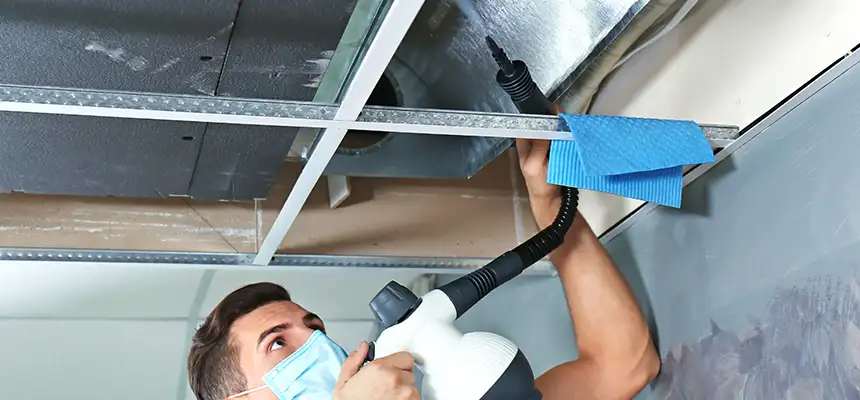 Our Air Duct Rodent Removal Services in Paradise, CA