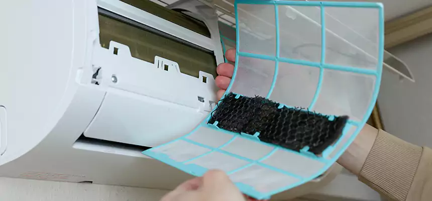 Gentle Ductwork Odor-Control Pet Dander Duct Cleaning in Paradise, CA