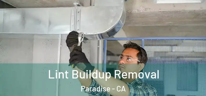  Lint Buildup Removal Paradise - CA