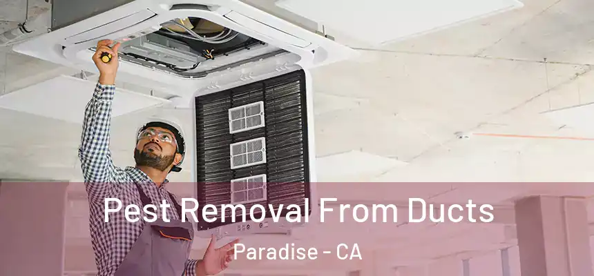 Pest Removal From Ducts Paradise - CA