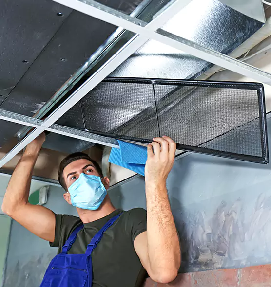About Air Duct Bacteria Removal in Paradise