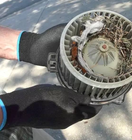 About Air Duct Mice Removal in Paradise, CA