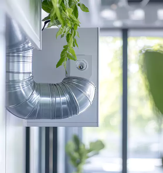 Professional Eco-Friendly Duct Cleaning Services in Paradise, CA