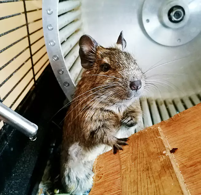 Why Homeowners & Businesses Trust Us Paradise, CA