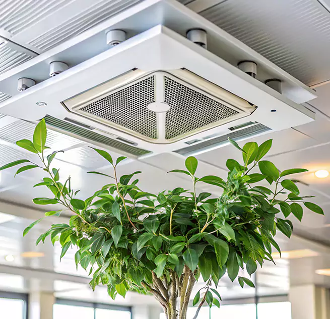 Why Homeowners & Businesses Trust Us in Paradise, CA?