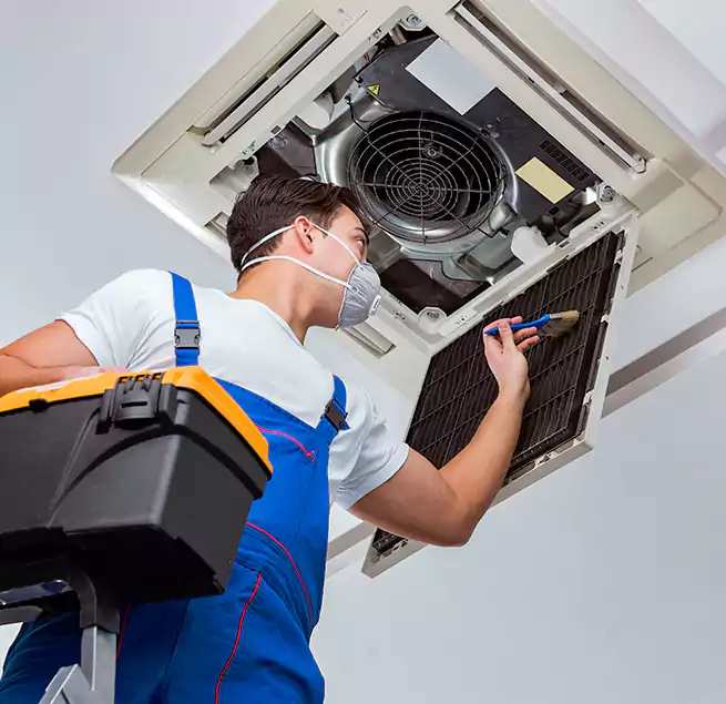 Why Homeowners & Businesses Trust Us in Paradise, CA?