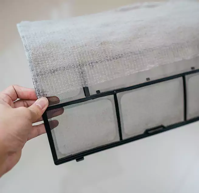 Why Homeowners & Businesses Trust Us in Paradise, CA?