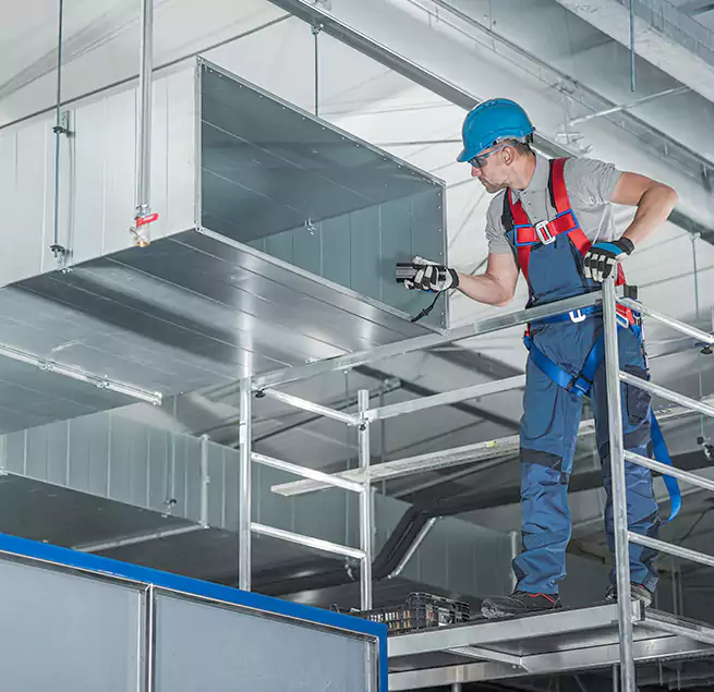 Why Homeowners & Businesses Trust Us in Paradise, CA?