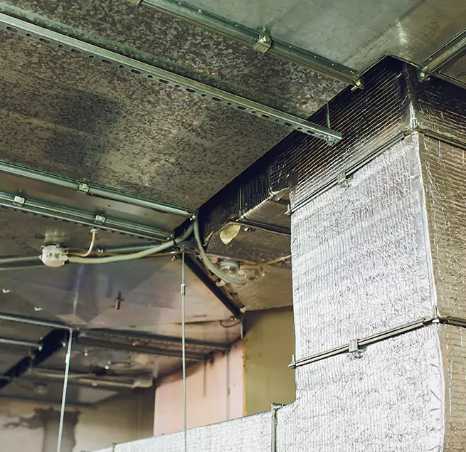 Why Homeowners & Businesses Trust Us in Paradise, CA?