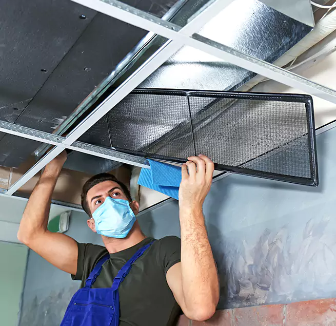 Why Homeowners Businesses Trust Us in Paradise, CA?